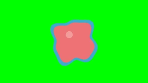 A simple flat illustration of an amoeba cell on a bright green background Stock Footage 340900290