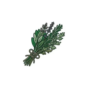 A simple flat illustration of a bunch of fresh culinary herbs like sage, rose Stock Illustration