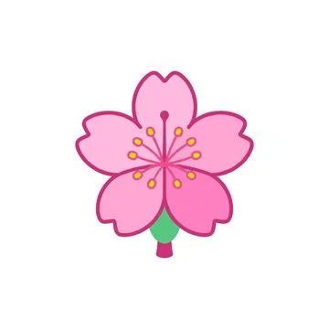 Simple flat illustration of a pink cherry blossom flower with yellow stamens Illustrazione stock