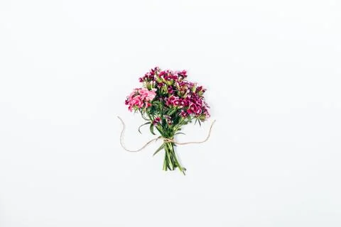 Simple flat lay arrangement of tiny pink flowers Stock Photos