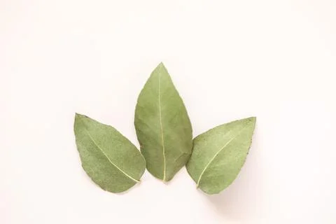 Simple flat lay image featuring three gum leaves on cream colored background  Stock Photos