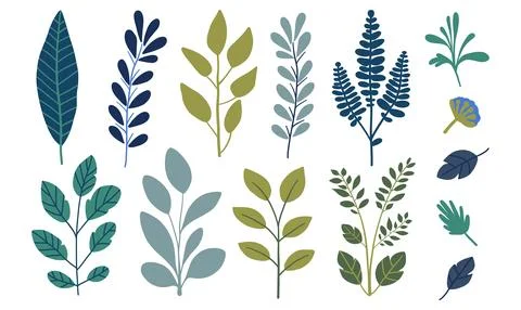 Simple flat leafs and Branches vector set, Isolated on white, Eco exotic floral Stock Illustration