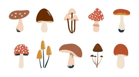 Simple flat set of various mushrooms Stock Illustration