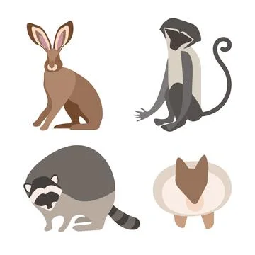 Simple, flat, vector illustrations of animals. Share, moorhen, badger, hamster 库存插图