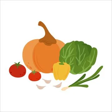 Simple flat vegetables composition. Colorful autumn harvest of pumpkin zucchini  Stock Illustration