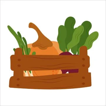 Simple flat vegetables composition. Colorful autumn harvest of pumpkin zucchini  Stock Illustration