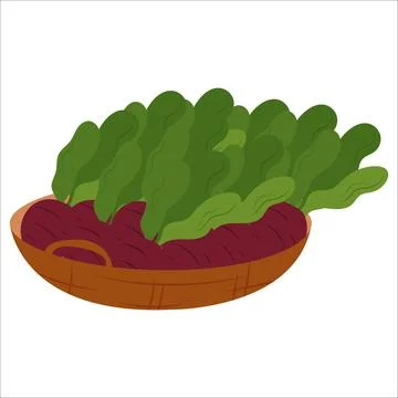 Simple flat vegetables composition. Colorful autumn harvest of pumpkin zucchini  Stock Illustration