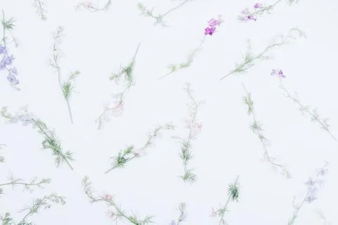 Simple floral flat lay pattern made of pink flowers Stock Photos