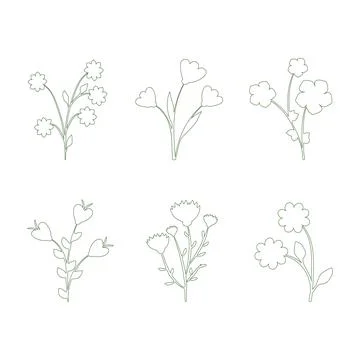 Simple floral line art set with six unique botanical designs Stock Illustration