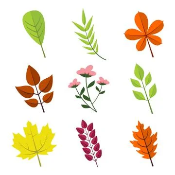 Simple Floral Various Leaves Vector Illustration Graphic Set Stock Illustration