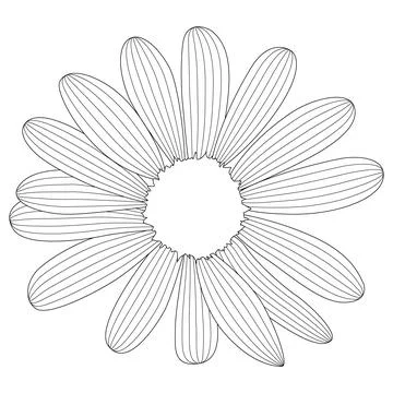Simple flower chamomile drawn by lines. Vector Illustration Stock-Illustration
