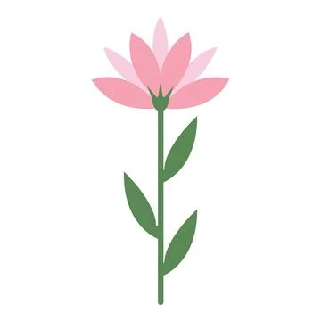 Simple flower drawing featuring pink petals and green leaves on a stem Stock Illustration