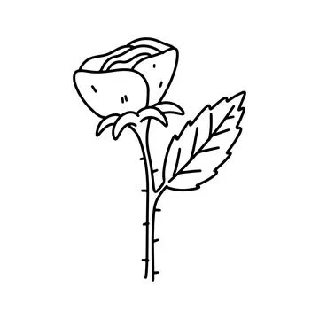 Simple flower. Hand drawn doodle style. Vector illustration isolated on whi.. Stock Illustration