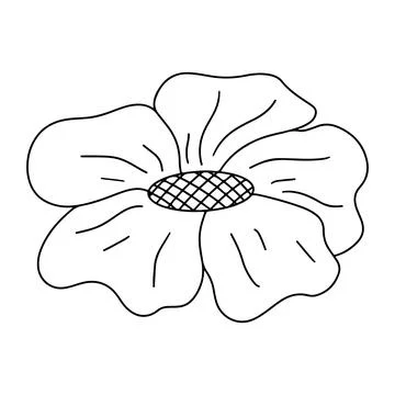 Simple flower head in hand drawn doodle style. Vector illustration isolated o Stock Illustration
