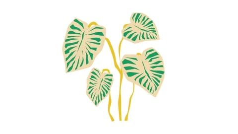 Simple Flower Pattern Stock Footage 246143267