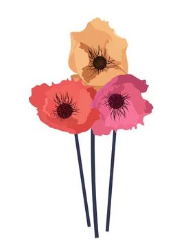 Simple flower poppy Vector Illustration Stock Illustration