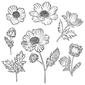 Simple flower seamless pattern, summer spring, bright vivid colors Stock Illustration