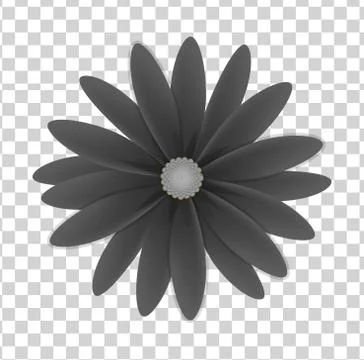 Simple flower on a transparent background Stock Illustration