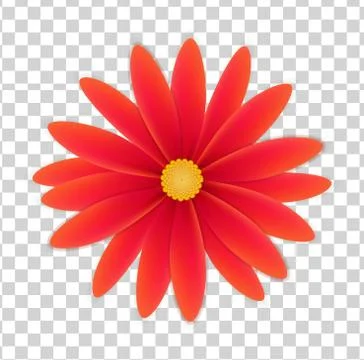 Simple flower on a transparent background Stock Illustration