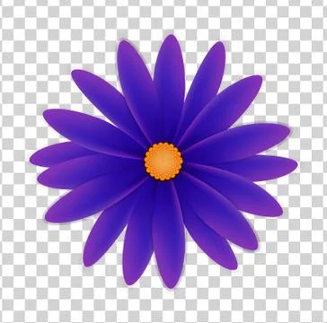 Simple flower on a transparent background Stock Illustration