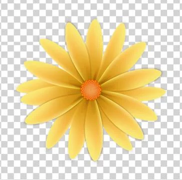 Simple flower on a transparent background Stock Illustration