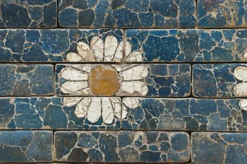 Simple flower on wall Foto stock