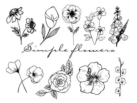Simple flowers vector doodle set Stock Illustration