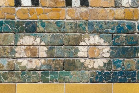 Simple flowers on wall Stock Photos