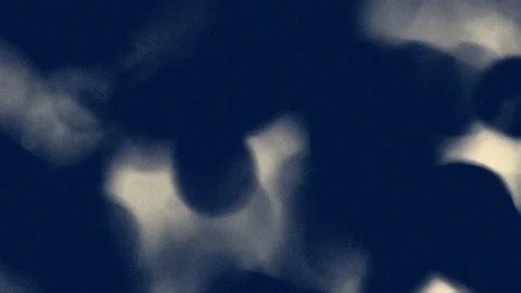 Simple, flowing animation in blue and paleyellow colors with soft moving shapes. Stock Footage 152134375