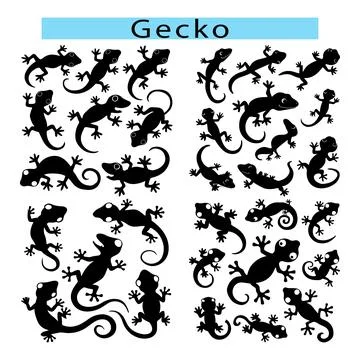 Simple Gecko vector illustration, Gecko silhouette in white background Stock Illustration