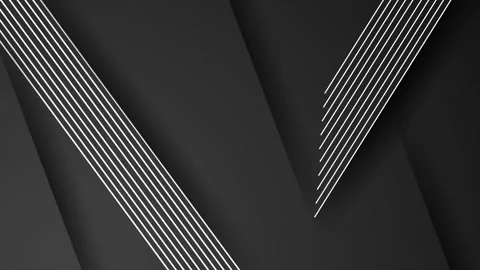 Simple geometric design in black and white tones with an abstract style seamless Stock Footage 310220792