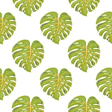 Simple geometric tropical seamless pattern with monstera leaves isolated on w Stock Illustration