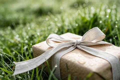 A simple gift box wrapped in brown paper with a linen ribbon sits on wet gras Stock Photos