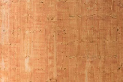 A simple glazed board wall with ramification Stock Photos