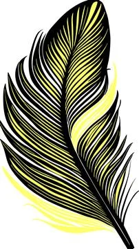 Simple graphic drawing black and yellow bird feather, sketch, logo Stock Illustration