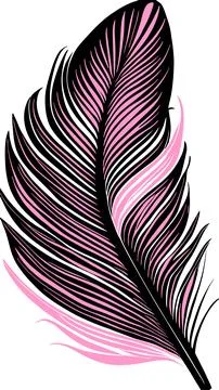 Simple graphic drawing black and pink bird feather, sketch, logo Stock Illustration