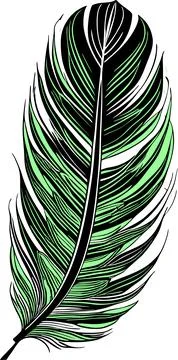 Simple graphic drawing black and green bird feather, sketch, logo Stock Illustration