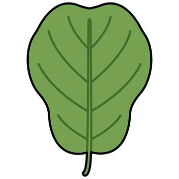 Simple green fiddle leaf fig with black outline for nature concept Stock Illustration