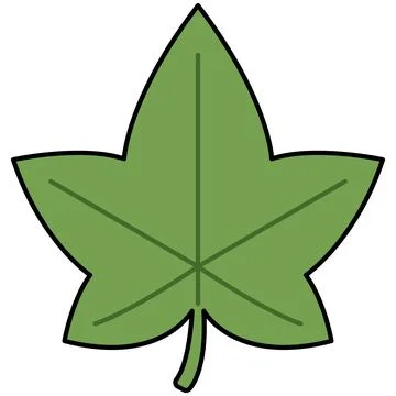 Simple green ivy leaf with black outline for nature concept Stock Illustration