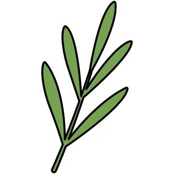 Simple green lavender leaf stem with black outline for herbal concept Stock Illustration