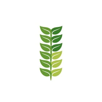 Simple green leaf branch logo and vector icon Stock Illustration