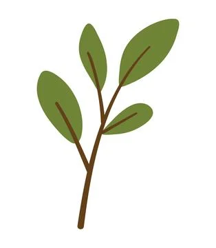 Simple Green Leaf Branch Minimal Illustration on White Background Stock Illustration
