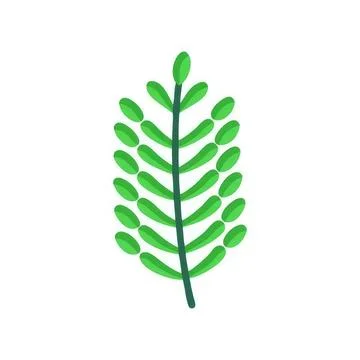 Simple green leaf illustration on white background Stock Illustration
