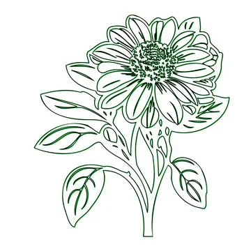 Simple Green Line Drawing of a Single Sunflower Illustrazione stock