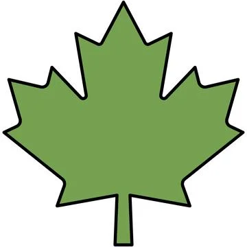 Simple green maple leaf with black outline for nature concept Stock Illustration