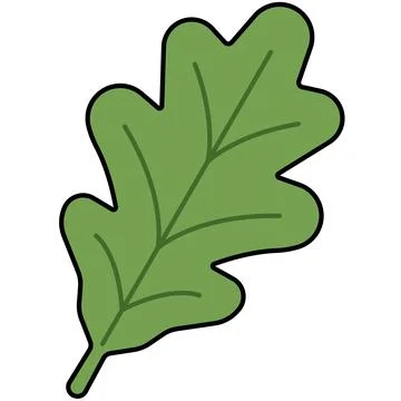 Simple green oak leaf with black outline for nature concept Stock Illustration