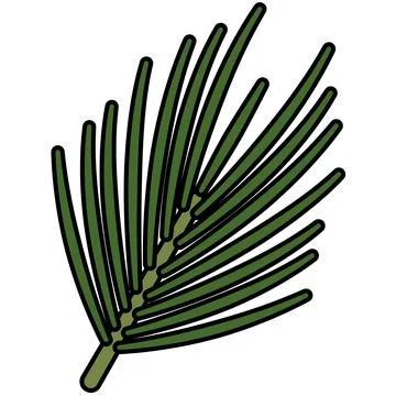 Simple green pine needle branch with black outline for nature concept Stock Illustration