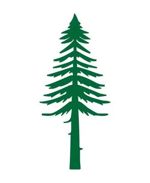Simple Green Pine Tree Icon Stock Illustration