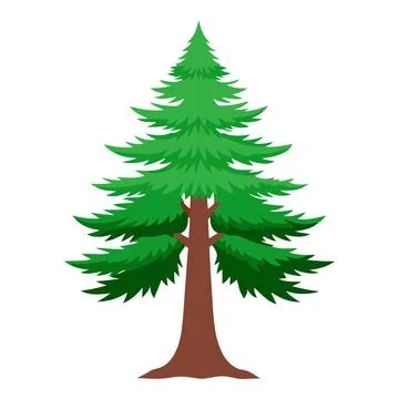 Simple Green Pine Tree Illustration on White Stock Illustration