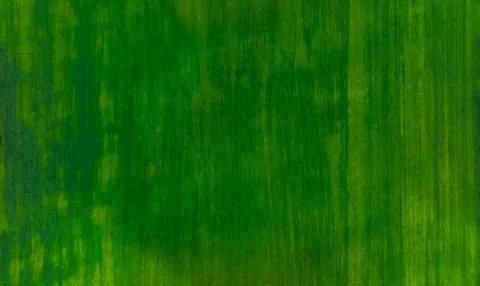 Simple green template mock up concept aerial top view of green grass lawn bac Stock Photos